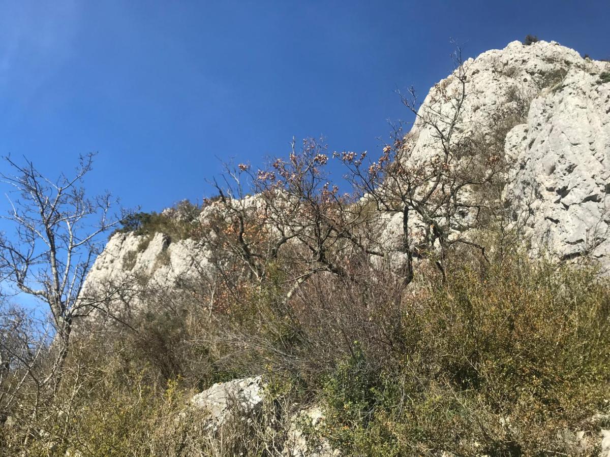 Chambre En Ardeche Du Sud Saint-Remeze Bagian luar foto